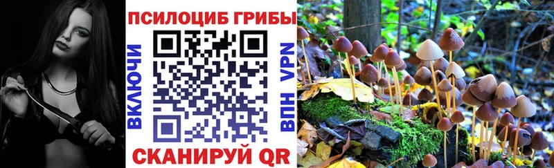 где можно купить Мышкин Псилоцибиновые грибы прущие грибы